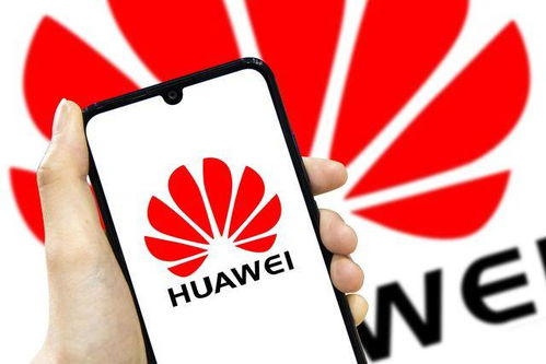 華為 在逆風中砥礪前行的網絡技術燈塔